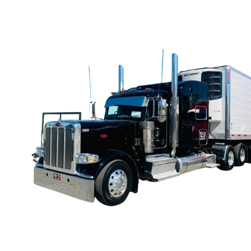 KMP Tranport shape3